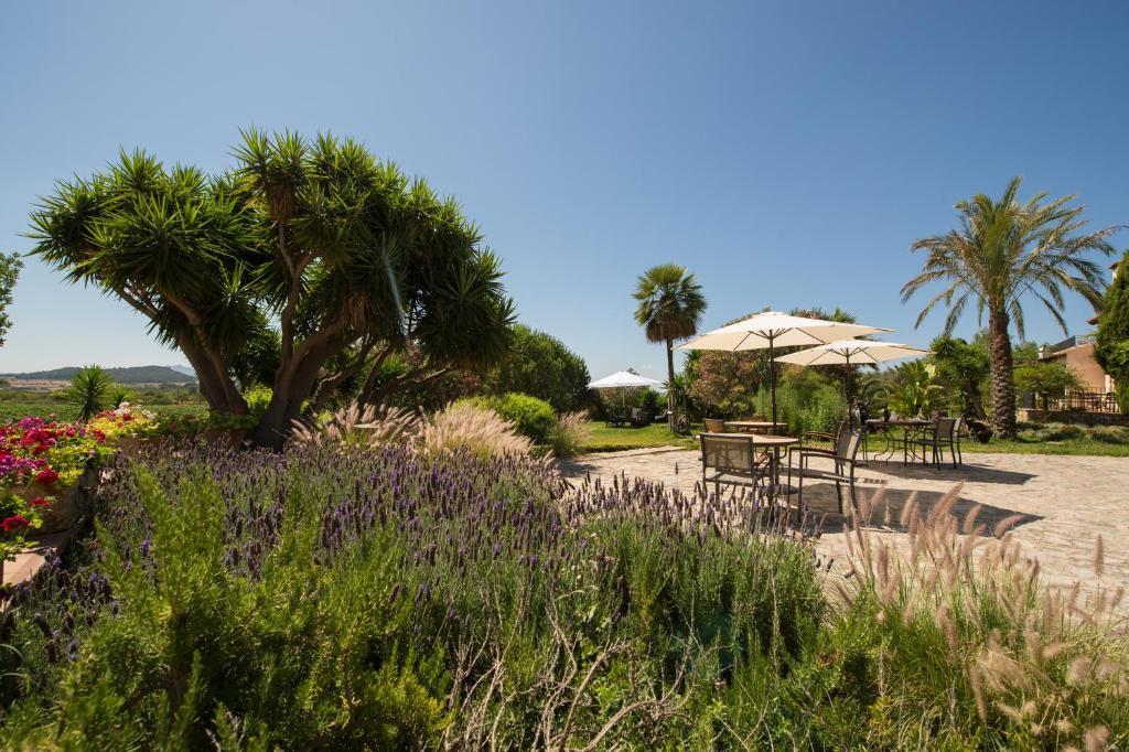 Agroturismo Can Feliu Porreres Exterior foto